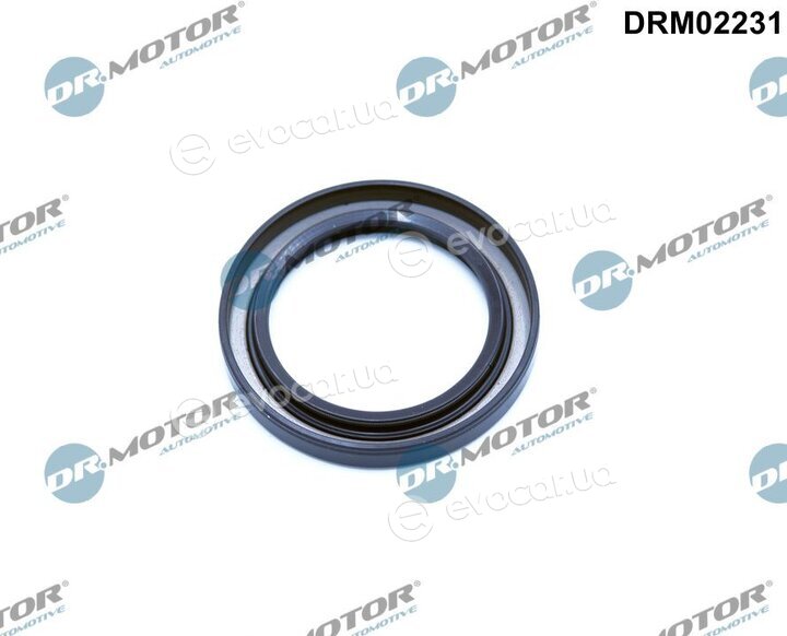 Dr. Motor DRM02231