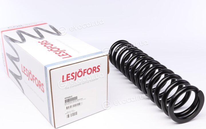 Lesjofors 4056810