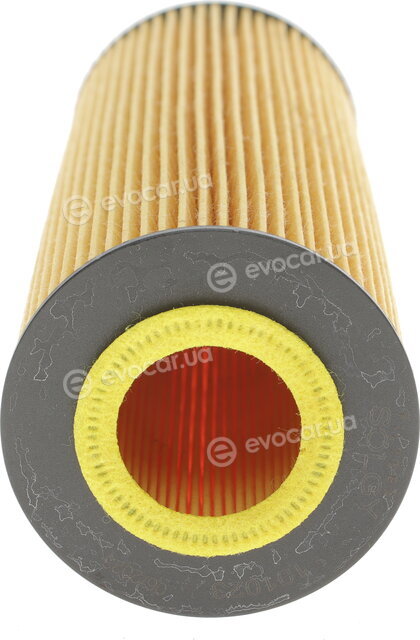 Solgy 101023