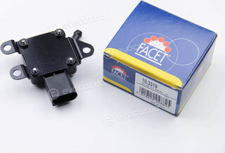 Facet 10.3319