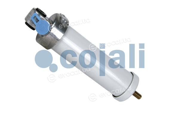 Cojali 2201203