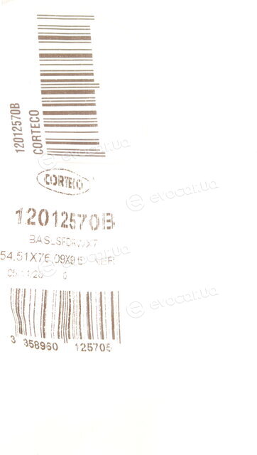 Corteco 12012570B