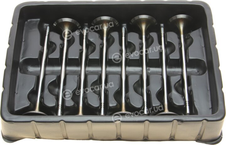 Borsehung B10322