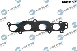 Dr. Motor DRM01797