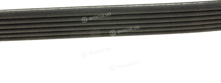 Dayco 6PK1152