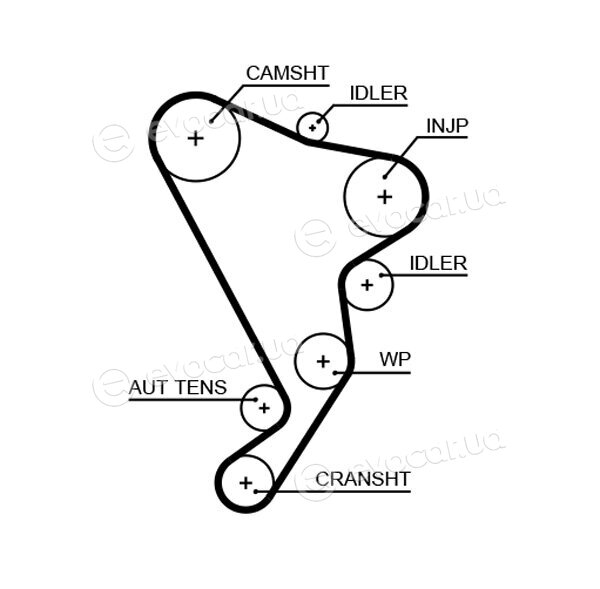 Gates 5661XS