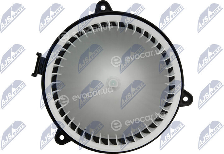 NTY EWN-PL-003