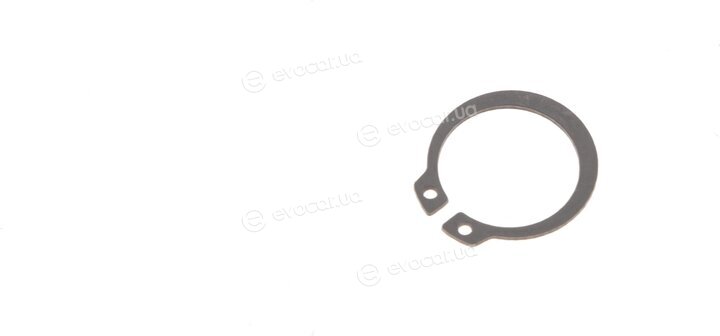 GSP 605066
