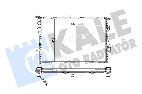 Kale 351870