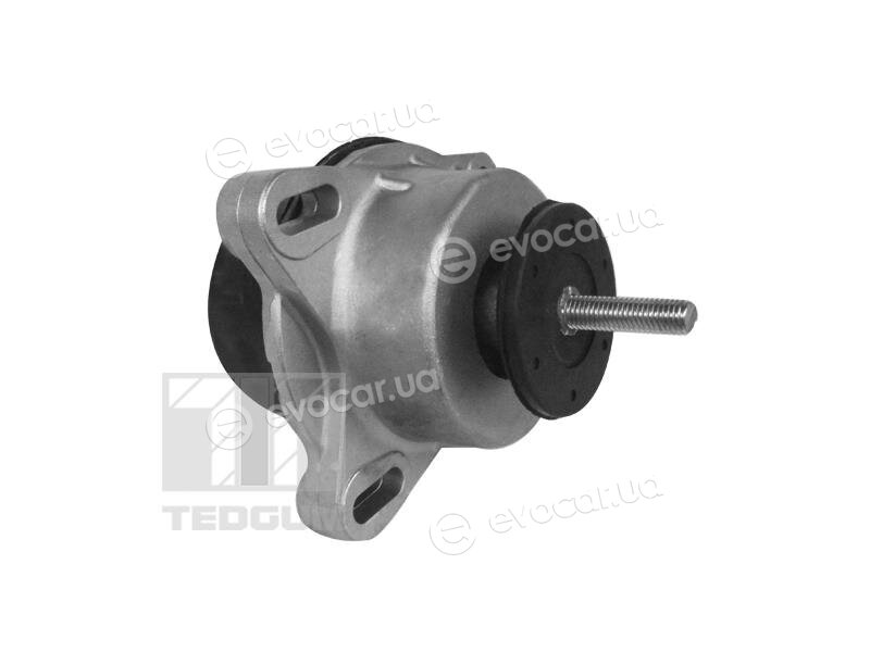 Tedgum 00228940