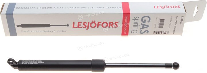 Lesjofors 8108414
