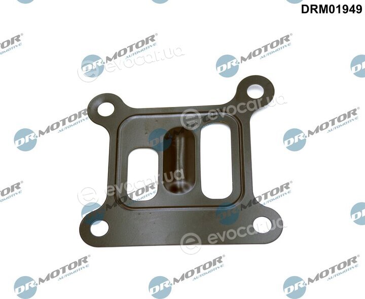 Dr. Motor DRM01949
