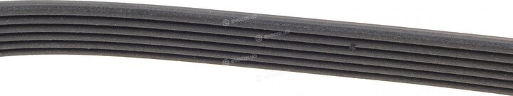 Dayco 6PK850