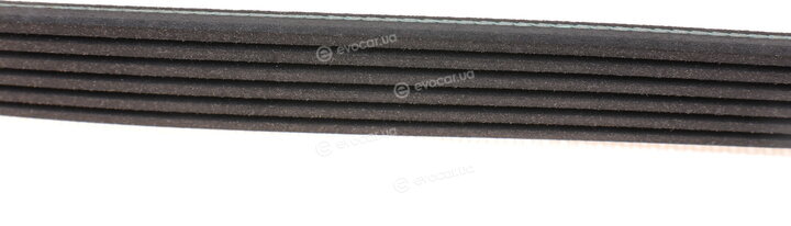 Blue Print AD06R2060
