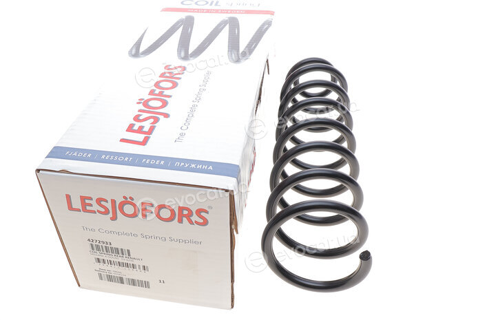 Lesjofors 4272933