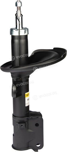 Raiso RS313521