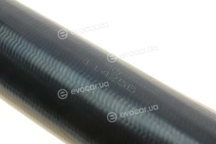 Solgy 114256