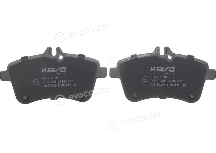 Kavo KBP-10036