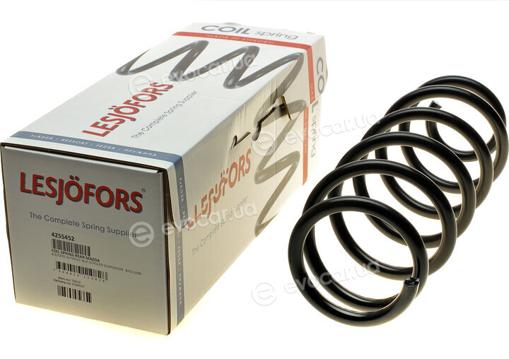 Lesjofors 4255452