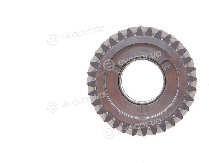 Borsehung B16298