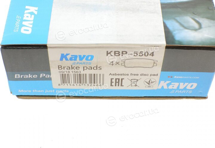 Kavo KBP-5504