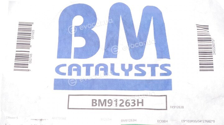 BM Catalysts BM91263H