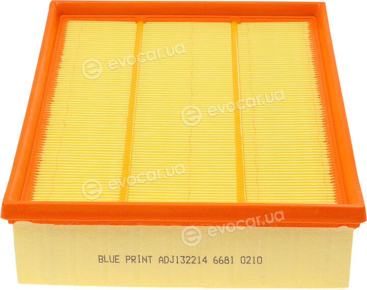 Blue Print ADJ132214