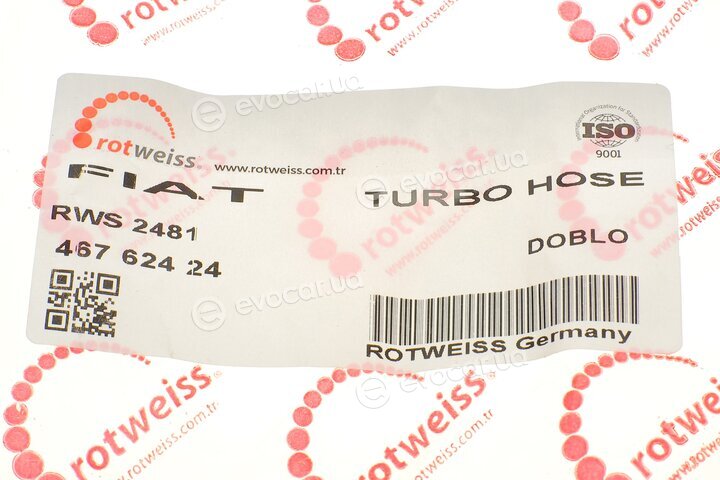 Rotweiss RWS2481