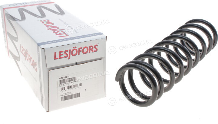 Lesjofors 4255465