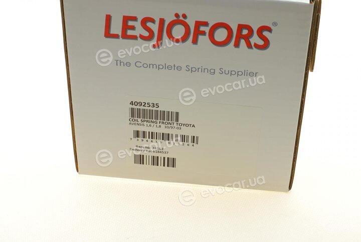 Lesjofors 4092535