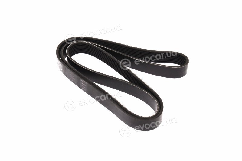 Rider RD 8PK1635EPDM