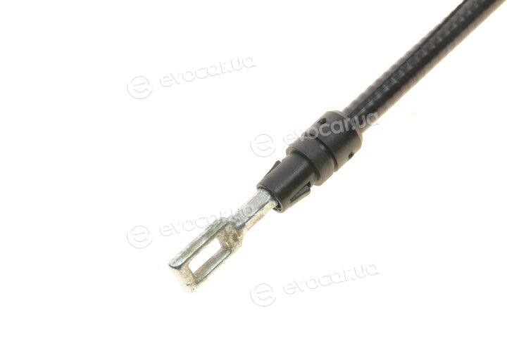 DP BC 24008 BNS