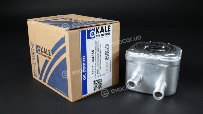 Kale 344365