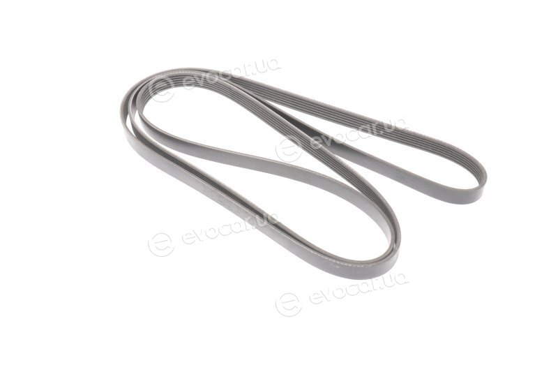 Gates 6PK2585