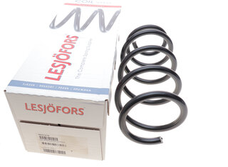 Lesjofors 4037272