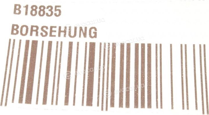 Borsehung B18835