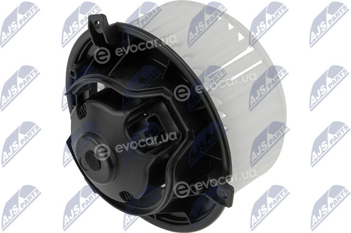 NTY EWN-PL-004