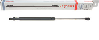 Lesjofors 8104219