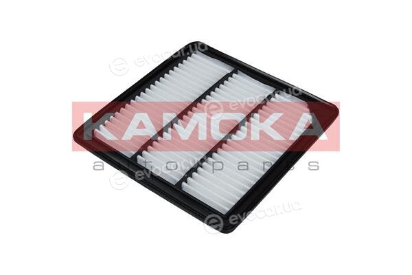 Kamoka F238101