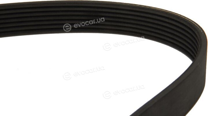 Dayco 7PK1766