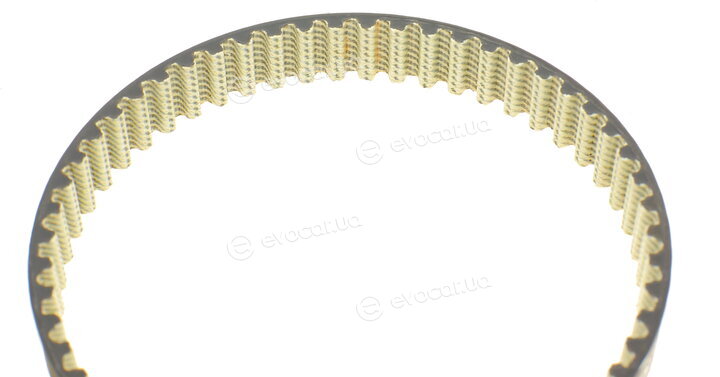 Continental CT1143WP1