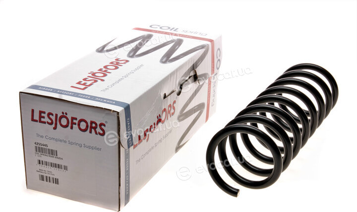 Lesjofors 4255445