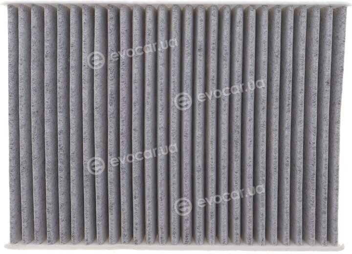 Solgy 104141
