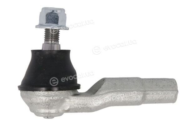 Reinhoch RH01-0035