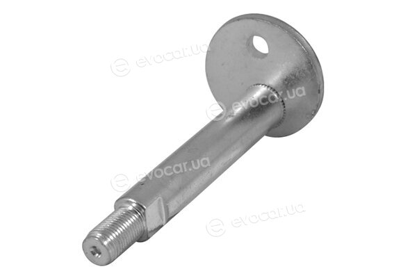 Tedgum TED98416