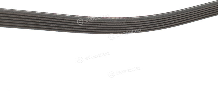 Gates 6PK1353