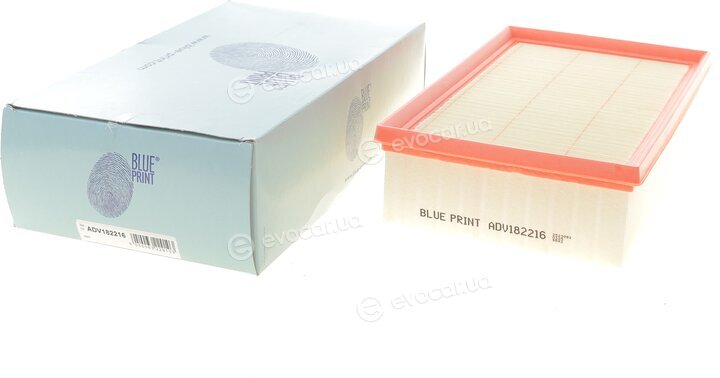 Blue Print ADV182216