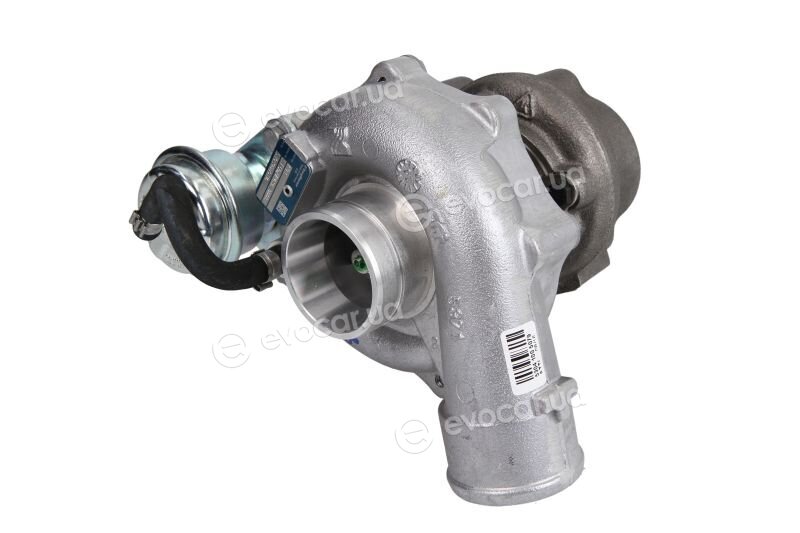 BorgWarner 53039880114