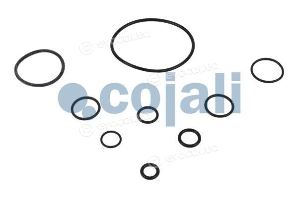 Cojali 6032105