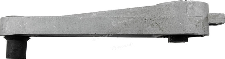 NTY ZPS-CH-011